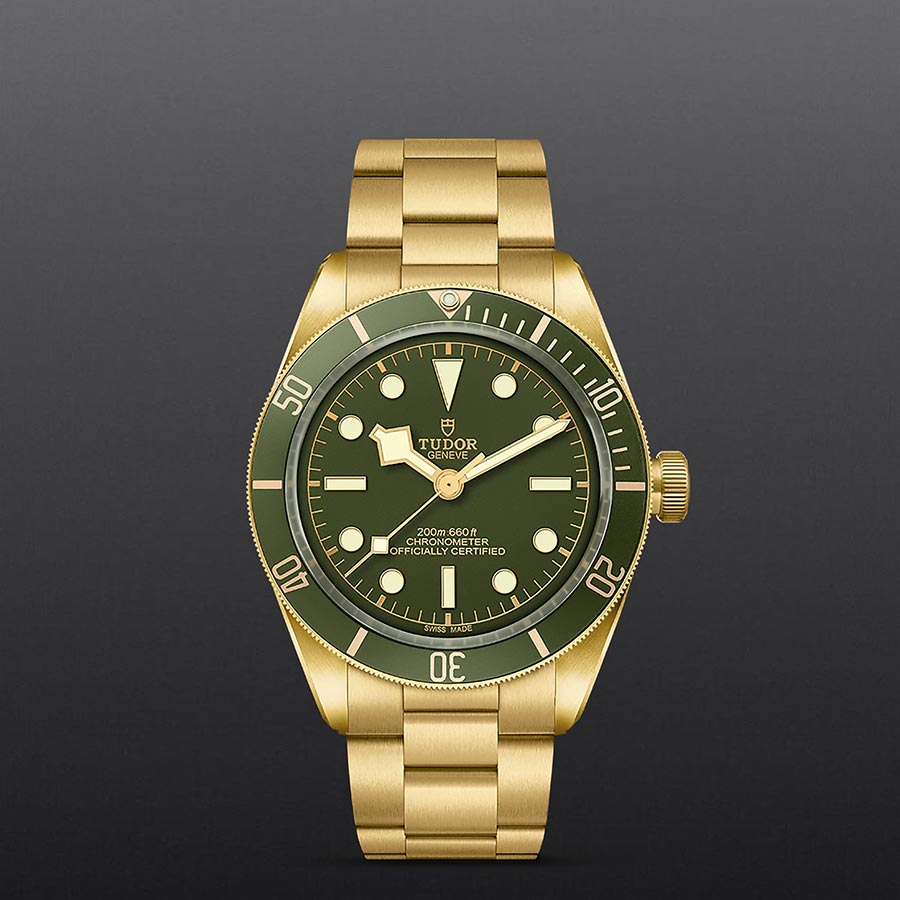 TUDOR M79018V-0006 grey background